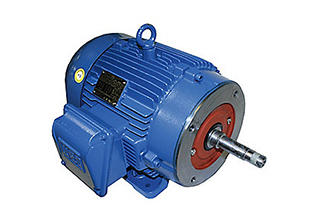 WEG pump motor